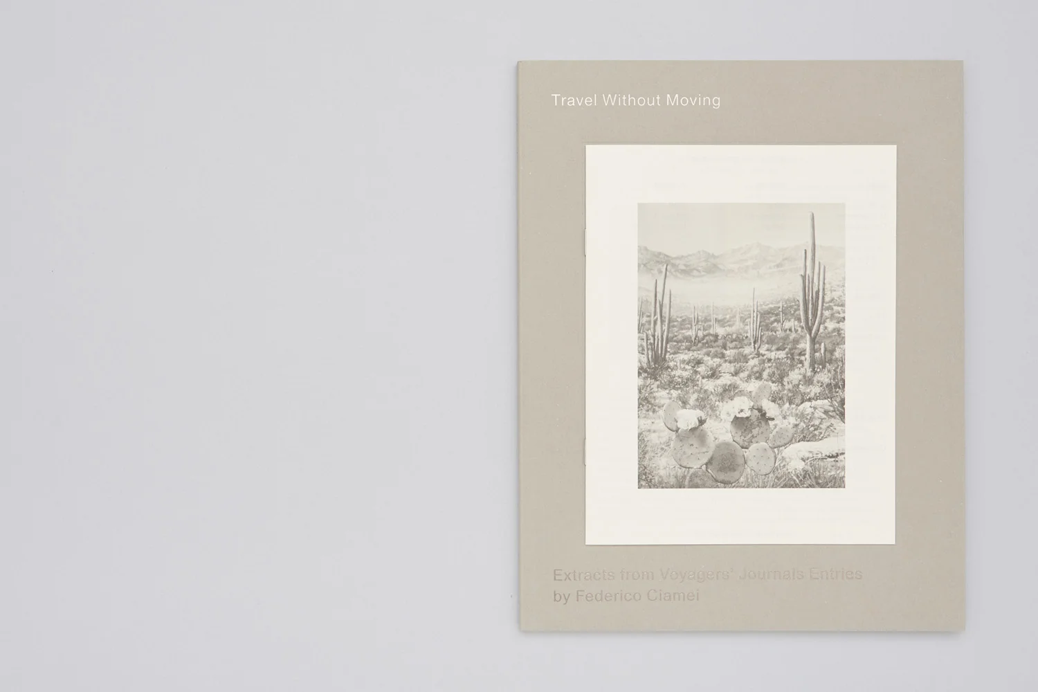 TRAVEL WITHOUT MOVING - Federico Ciamei — SKINNERBOOX